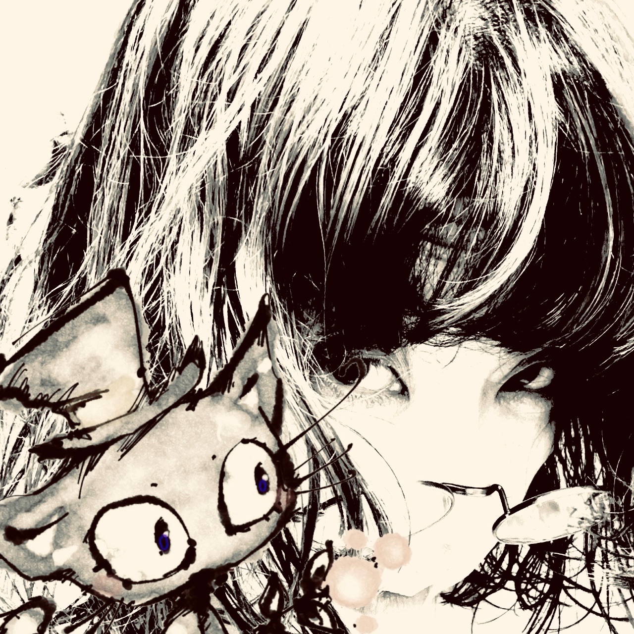ほんだ猫