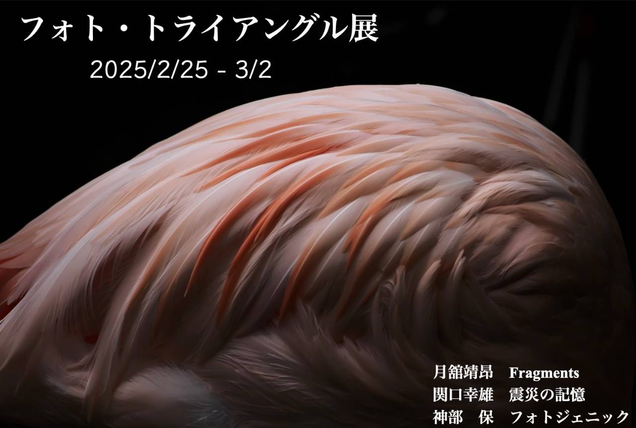 フォト・トライアングル展
