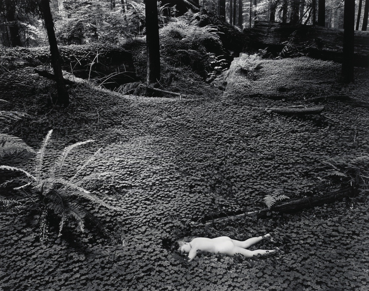 「ウィン・バロック写真展　	追想(2025→1975)」