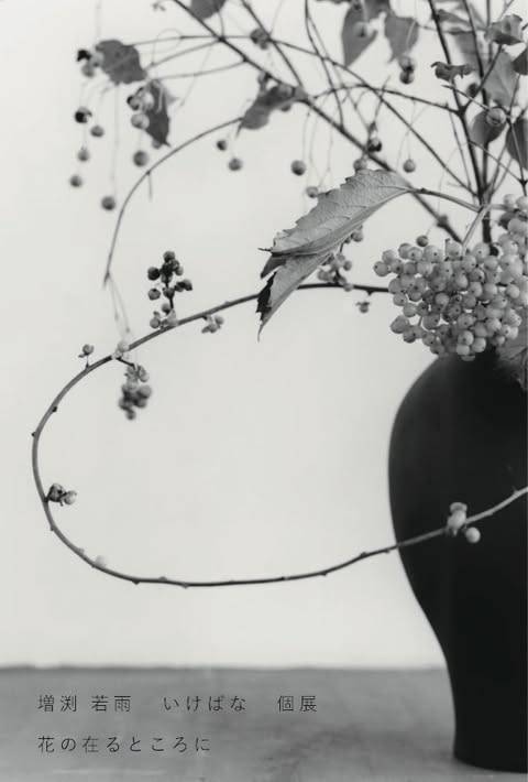 増渕若雨 いけばな個展「花の在るところに」