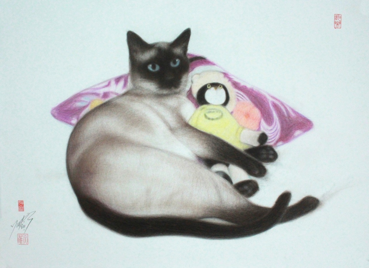 2025紫陽花月の猫たち