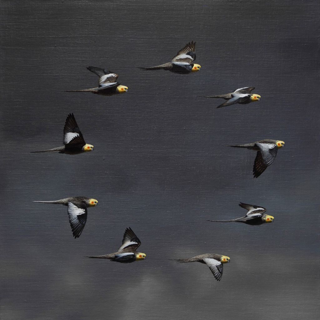 向山裕展 「鳥類・騎行」
