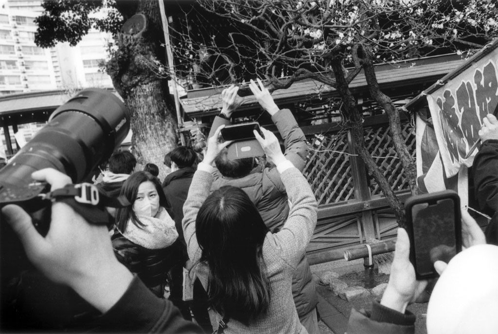 ジョン サイパル  Other People’s Pictures 2