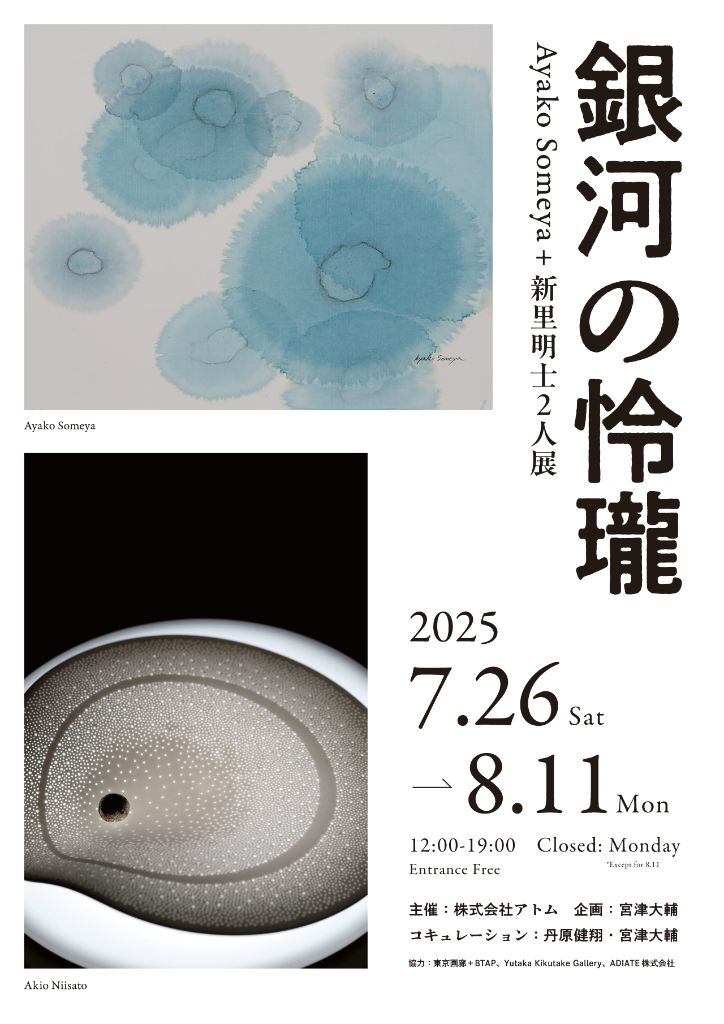 Ayako Someya＋新里明士2人展：銀河の怜瓏