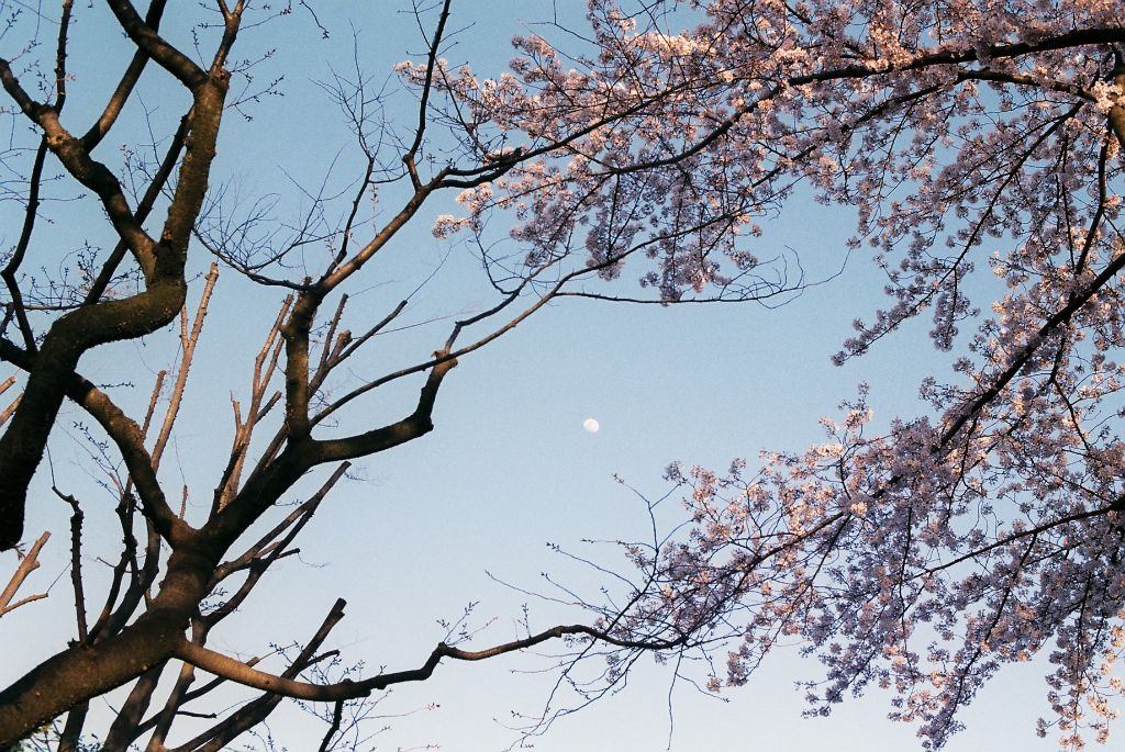 伊藤由梨 写真展 「わすれてなかった」