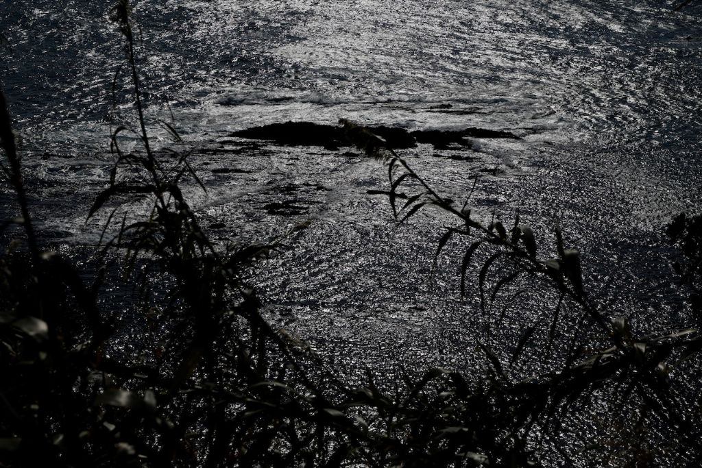 LONG SEASON | LONG SEASON PHOTOGRAPHERS SLIDESHOW