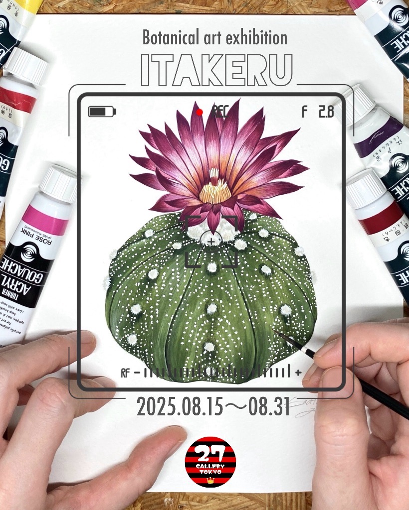 ITAKERU
