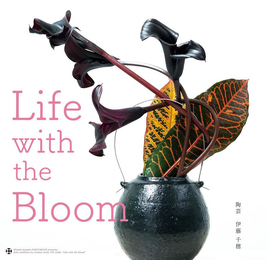 南青山・白白庵 企画　陶芸・伊藤 千穂 展　Life with the Bloom