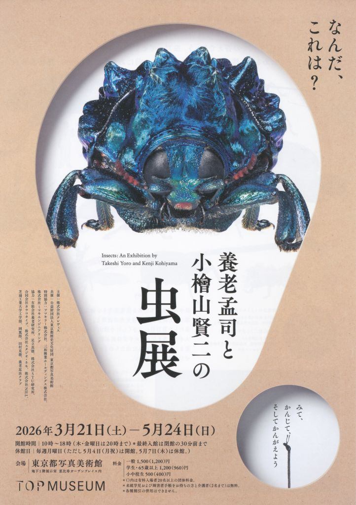 養老孟司と小檜山賢二の虫展　～みて、かんじて、そしてかんがえよう