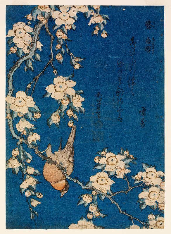 ロックフェラー・コレクション花⿃版画展　北斎、広重を中⼼に