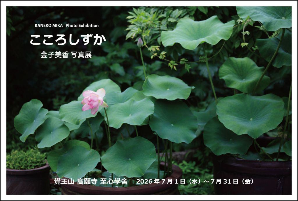 金子美香 個展「こころしずか」