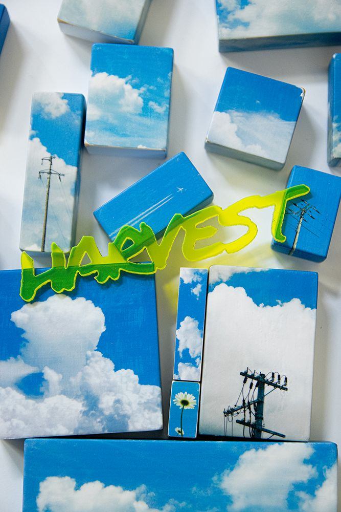 ハブチユウスケ ツムクム写真展「HARVEST」