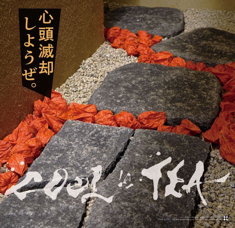 南青山・白白庵 企画　新・夏こそ茶ノ湯 二〇二六　COOL is TEA