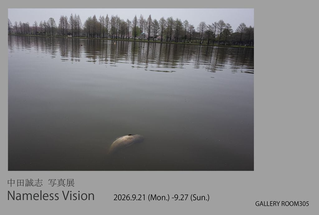 Nameless Vision