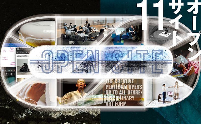 OPEN SITE 11