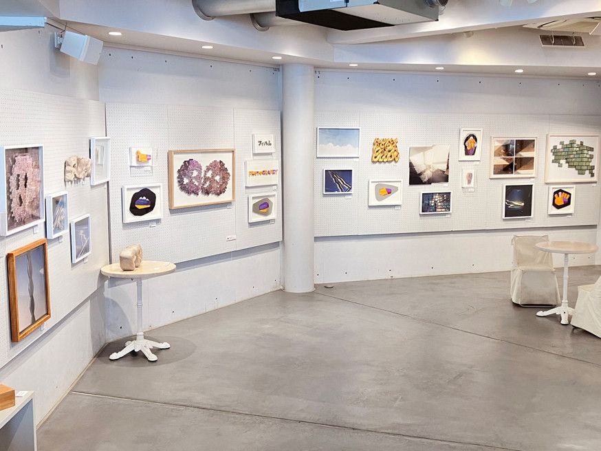 MONKEY GALLERY
