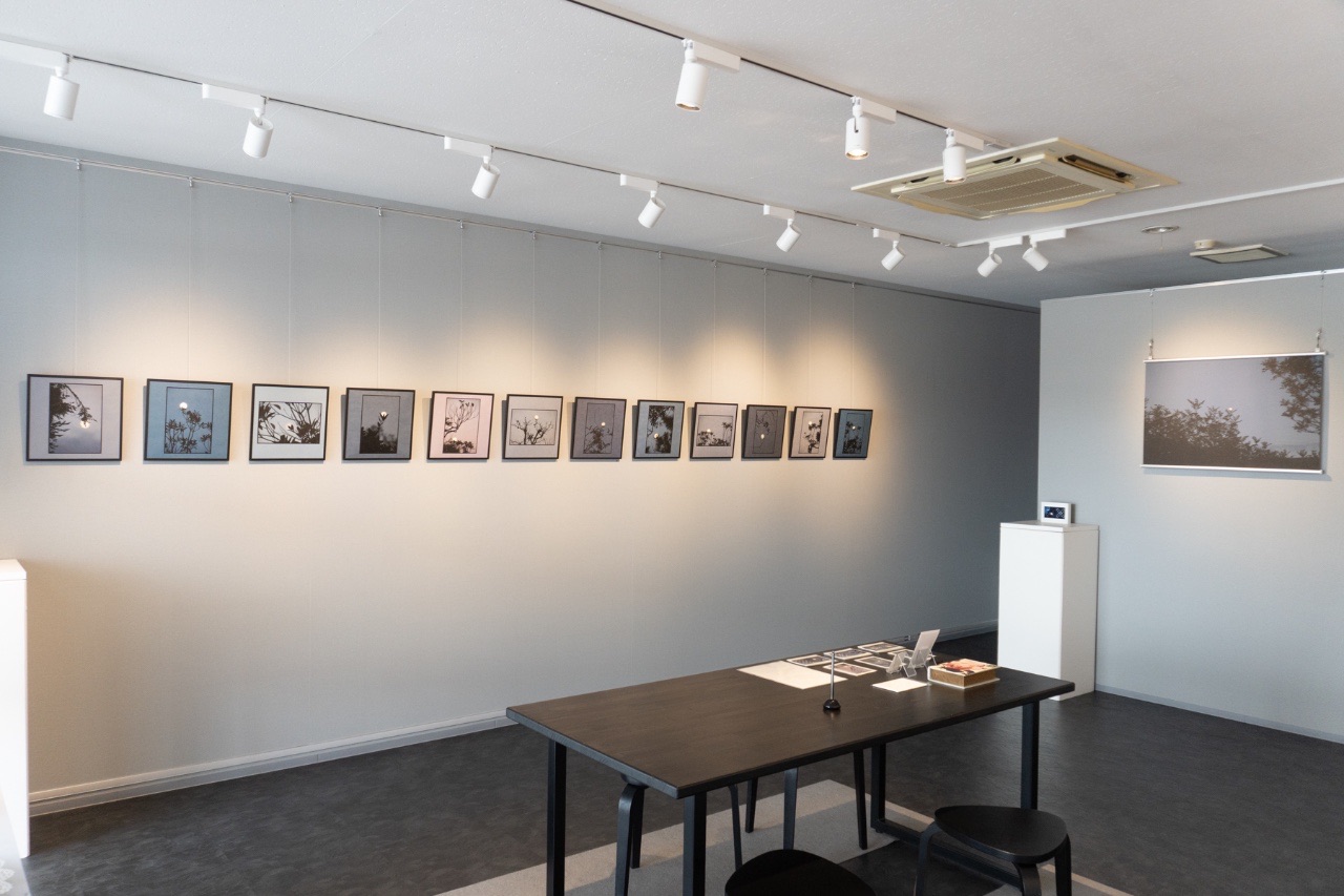 gallery i-style