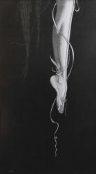 「幽玄の翼」　鉛筆画　480×270mm