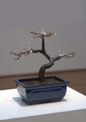 田中俊之　“Dwarf-tree fountain” 2010 銅、樹脂、陶器、ポンプ、木、洗剤、水、タイマー他 W420×D420×H120 ㎜