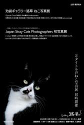 池袋ギャラリー路草ねこ写真展 & Japan Stray Cats Photographers 初写真展