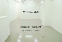 Insight2　“segment”