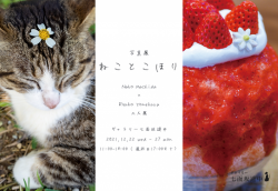 写真展「ねことこおり」