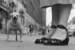 New York City, 1946.　© Elliott Erwitt / Magnum Photos