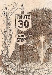 ROUTE30