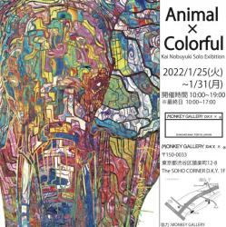 Animal × Colorful 