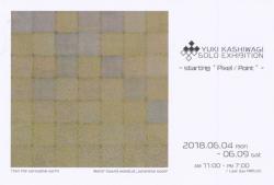 Yuki Kashiwagi Solo exhibition - starting "Pixel / Point" -