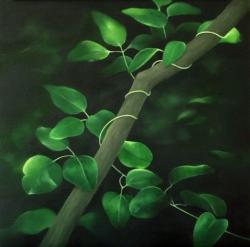 "緑の習作１"2015, oil on canvas,45.5×45.5cm