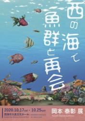 岡本泰彰 展　～西の海で魚群と再会～