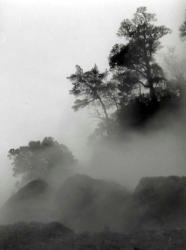 タイメイ写真展 「風にまかれて漂う」