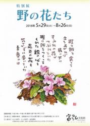 特別展　野の花たち