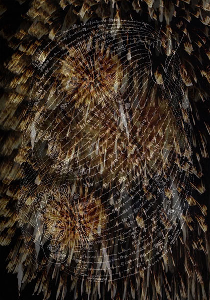 Michiko Miyake Exhibition 「ことばのばいおん　ひかりのまゆ」