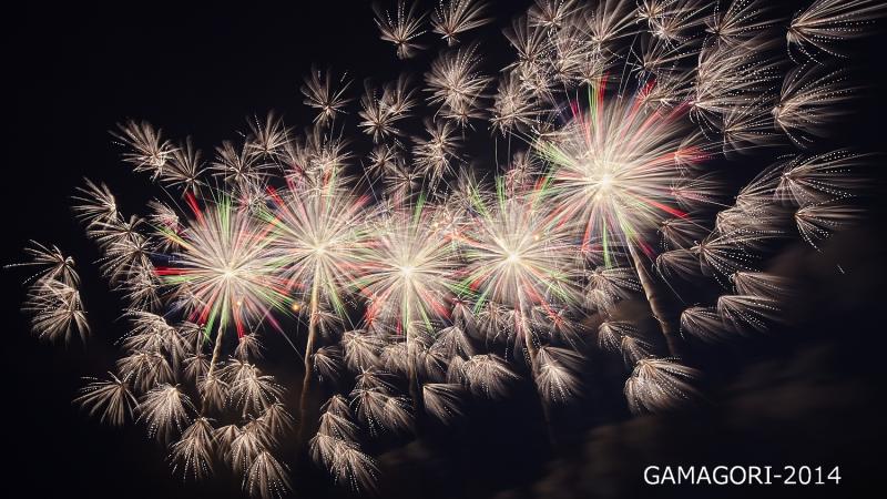夜空ノ花　-東海編-