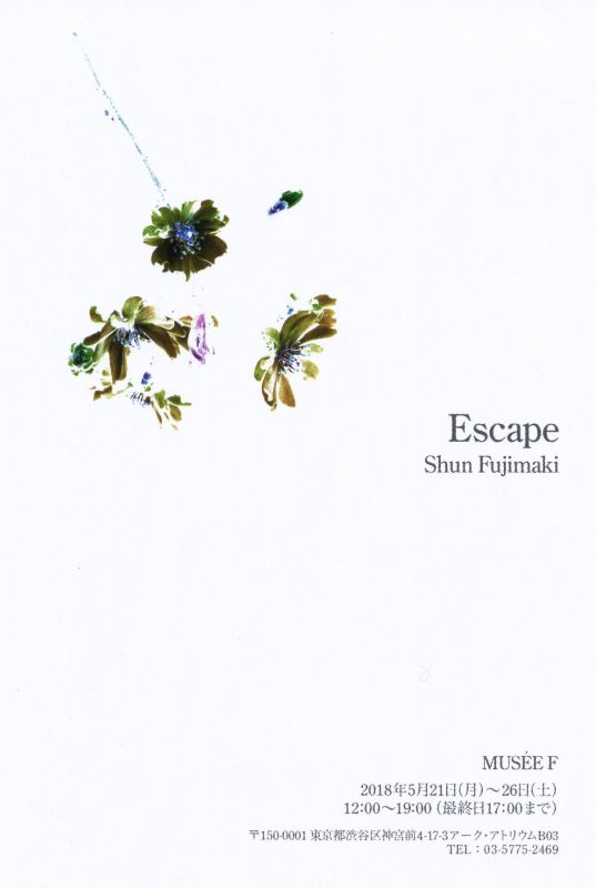 東京写真月間 関連企画展示 Escape 藤巻瞬