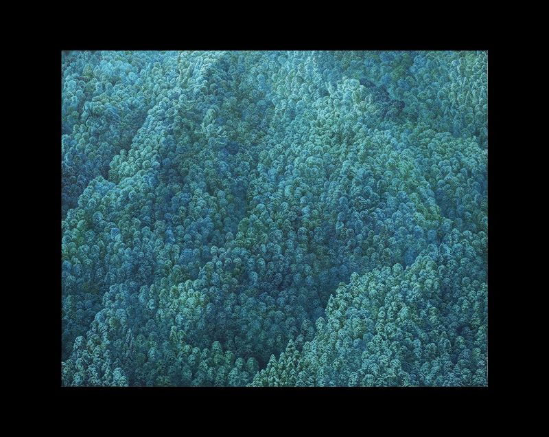 In-between Land：池田学、インディゲリラ、天明屋尚、エンタン・ウィハルソ＠Mizuma, Kips & Wada Art、ニューヨーク