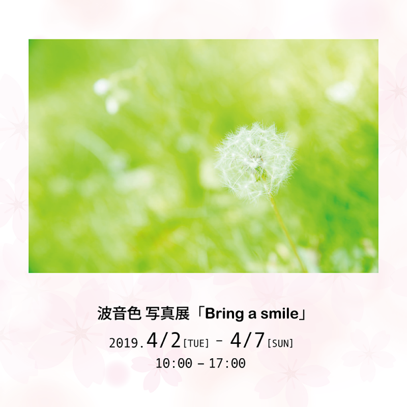 波音色 写真展「Bring a smile」