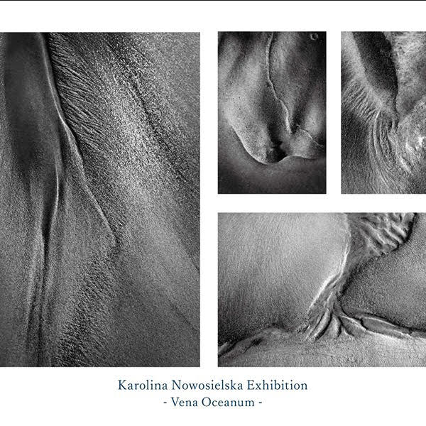 『Vena Oceanum』Karolina Nowosielska 個展