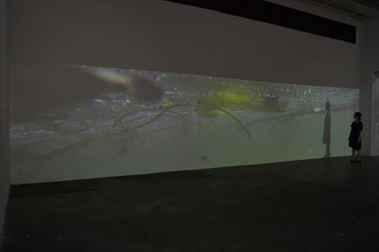 花田恵理 個展 「Exchange of spaces」