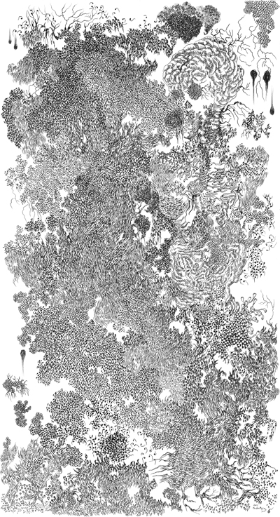 真島直子展「妖精」