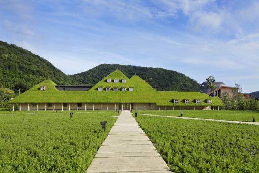 藤森照信展 ― 自然を生かした建築と路上観察