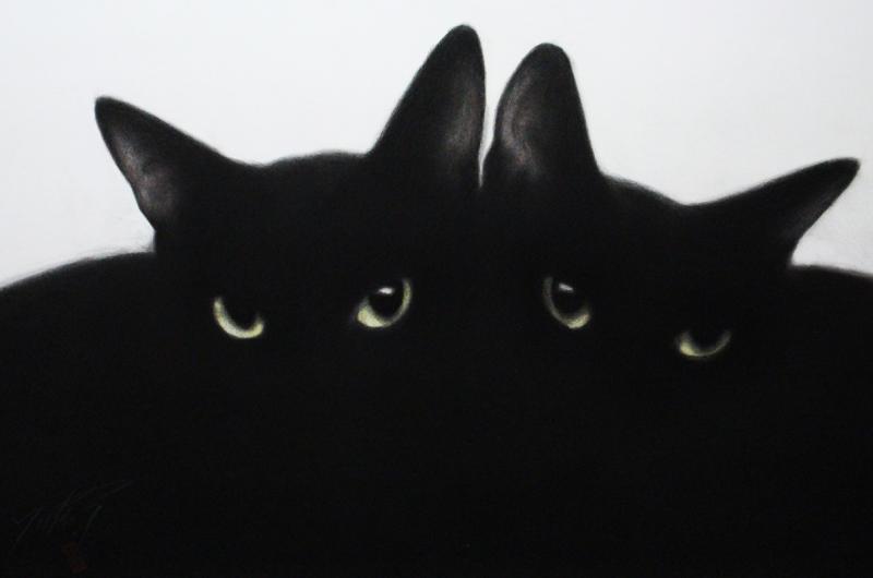 パリ発～世界で活躍する『猫の絵描き』 高橋行雄絵画展