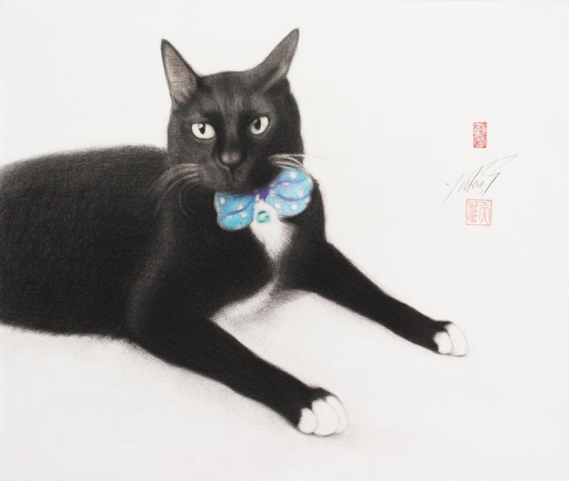 黒猫展