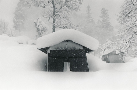 中原 達洋 「雪しずり」
