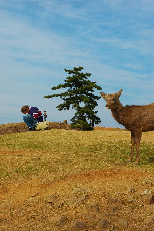 多田ユウコ　写真展＋映像展　『山遊鹿々人々図』