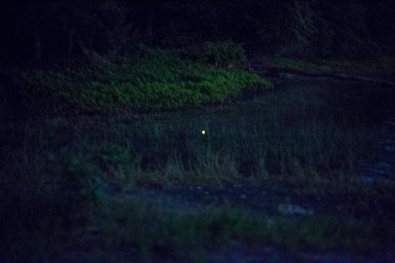 宮崎雅子写真展　Green Hole Ⅱ