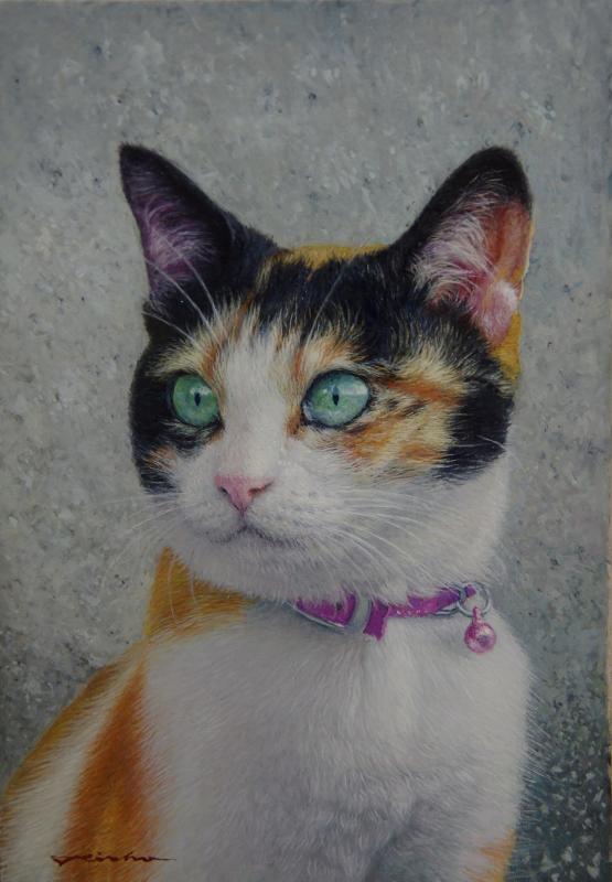 SMという猫
