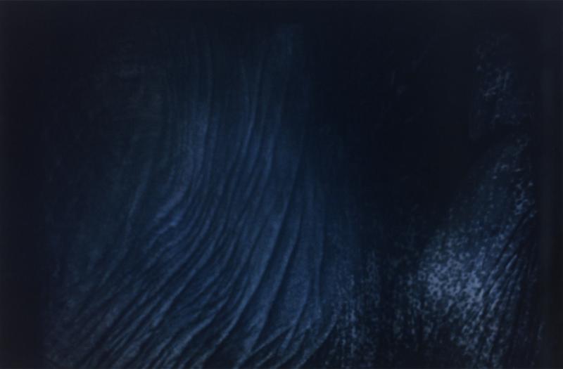 第15回写真「1_WALL」グランプリ受賞者個展 田中大輔展「火焔の脈」